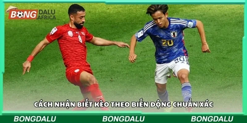 Cách nhận biết kèo theo biến động chuẩn xác