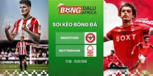 Soi tỷ lệ kèo nhà cái Brentford vs Nottingham